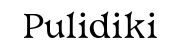 PULIDIKI Cleaning Gel Logo